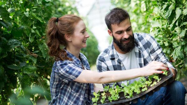 How to save money when kitting out your garden this summer